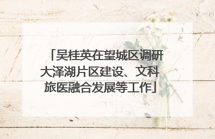 吴桂英在望城区调研大泽湖片区建设、文科旅医融合发展等工作