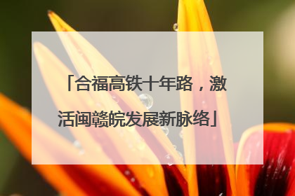 合福高铁十年路，激活闽赣皖发展新脉络