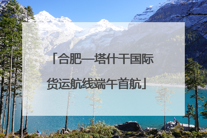 合肥—塔什干国际货运航线端午首航