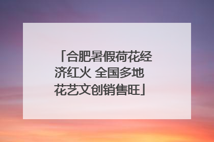 合肥暑假荷花经济红火 全国多地花艺文创销售旺