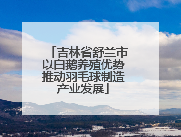 吉林省舒兰市以白鹅养殖优势推动羽毛球制造产业发展