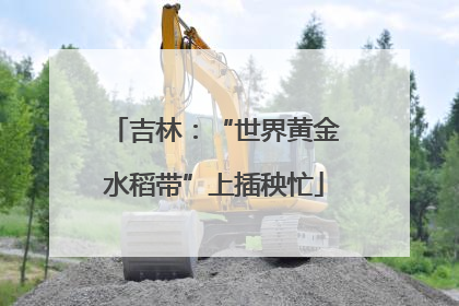 吉林：“世界黄金水稻带”上插秧忙