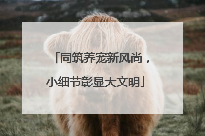 同筑养宠新风尚，小细节彰显大文明