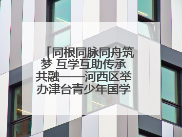 同根同脉同舟筑梦 互学互助传承共融——河西区举办津台青少年国学交流活动