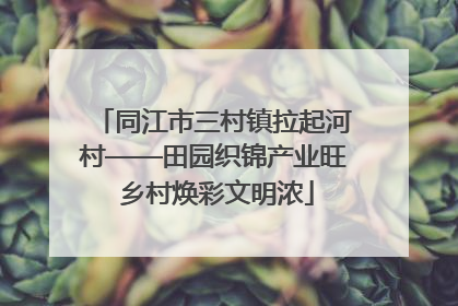 同江市三村镇拉起河村——田园织锦产业旺 乡村焕彩文明浓