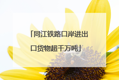 同江铁路口岸进出口货物超千万吨