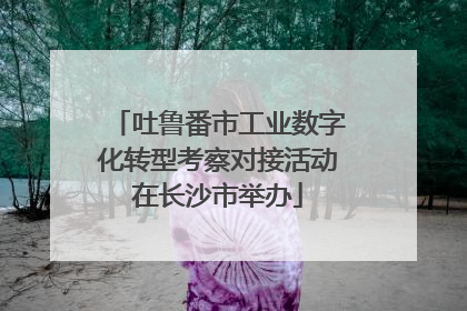 吐鲁番市工业数字化转型考察对接活动在长沙市举办