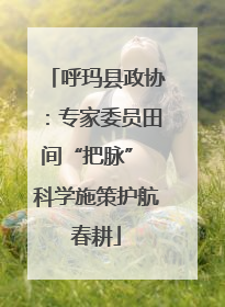 呼玛县政协：专家委员田间“把脉” 科学施策护航春耕