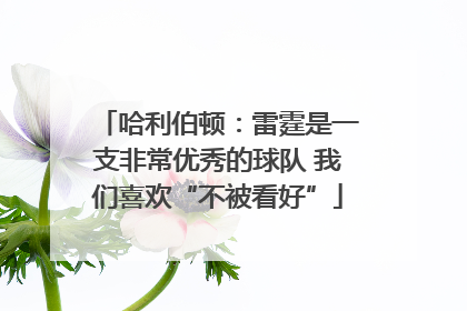 哈利伯顿：雷霆是一支非常优秀的球队 我们喜欢“不被看好”
