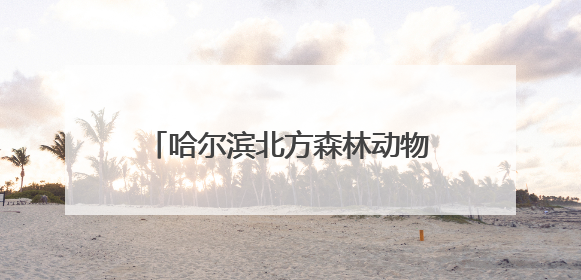 哈尔滨北方森林动物园 萌宝陪你过六一