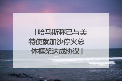 哈马斯称已与美特使就加沙停火总体框架达成协议