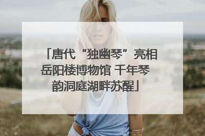 唐代“独幽琴”亮相岳阳楼博物馆 千年琴韵洞庭湖畔苏醒