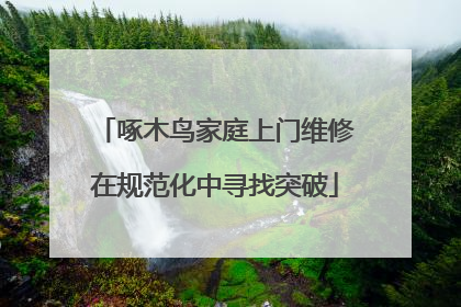 啄木鸟家庭上门维修在规范化中寻找突破