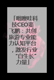 嗯噢哇科技CEO窦飞鹏：共创旅游专业能力认知平台，激发行业“自生长”力量