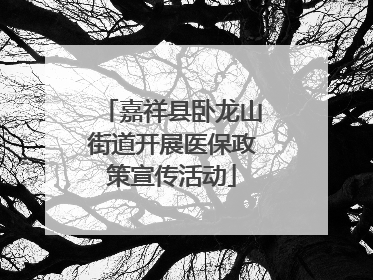 嘉祥县卧龙山街道开展医保政策宣传活动