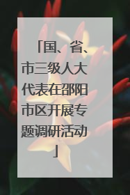 国、省、市三级人大代表在邵阳市区开展专题调研活动