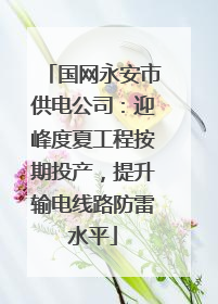 国网永安市供电公司：迎峰度夏工程按期投产，提升输电线路防雷水平