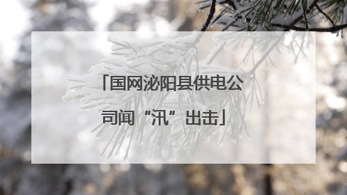 国网泌阳县供电公司闻“汛”出击