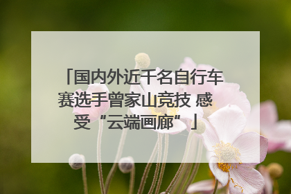 国内外近千名自行车赛选手曾家山竞技 感受“云端画廊”