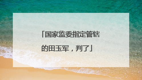 国家监委指定管辖的田玉军，判了