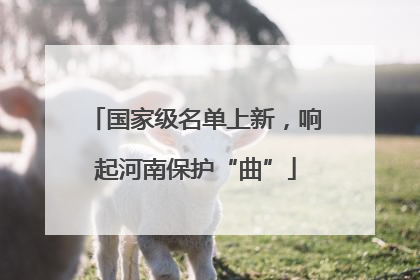 国家级名单上新，响起河南保护“曲”