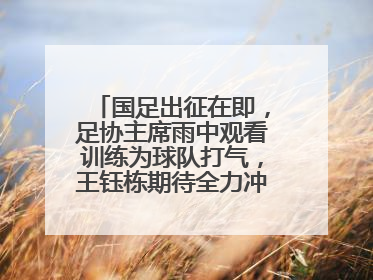 国足出征在即，足协主席雨中观看训练为球队打气，王钰栋期待全力冲击印尼队