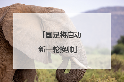 国足将启动新一轮换帅
