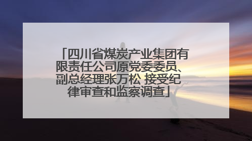 四川省煤炭产业集团有限责任公司原党委委员、副总经理张万松 接受纪律审查和监察调查