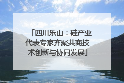 四川乐山：硅产业代表专家齐聚共商技术创新与协同发展