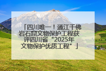 四川唯一！通江千佛岩石窟文物保护工程获评四川省“2025年文物保护优质工程”