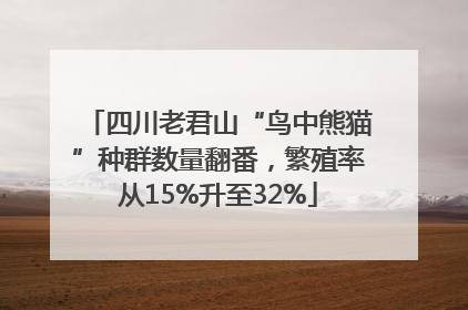 四川老君山“鸟中熊猫”种群数量翻番，繁殖率从15%升至32%