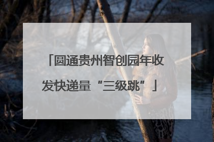 圆通贵州智创园年收发快递量“三级跳”