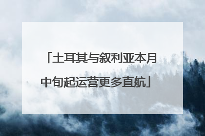 土耳其与叙利亚本月中旬起运营更多直航