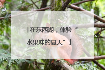 在东西湖，体验“水果味的夏天”