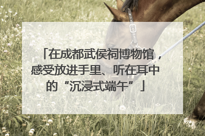 在成都武侯祠博物馆，感受放进手里、听在耳中的“沉浸式端午”