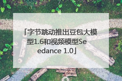 字节跳动推出豆包大模型1.6和视频模型Seedance 1.0
