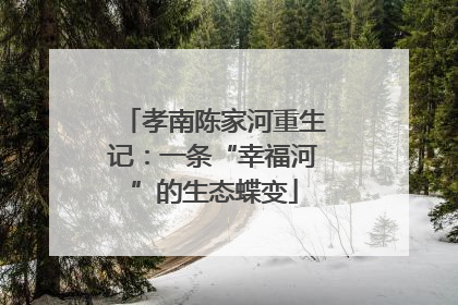 孝南陈家河重生记：一条“幸福河”的生态蝶变