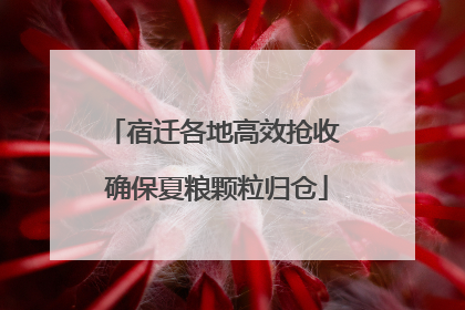 宿迁各地高效抢收 确保夏粮颗粒归仓
