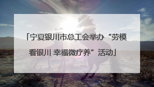 宁夏银川市总工会举办“劳模看银川 幸福微疗养”活动
