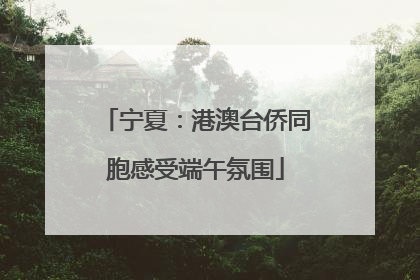 宁夏：港澳台侨同胞感受端午氛围