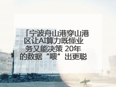 宁波舟山港穿山港区让AI算力既懂业务又能决策 20年的数据“喂”出更聪明的港口