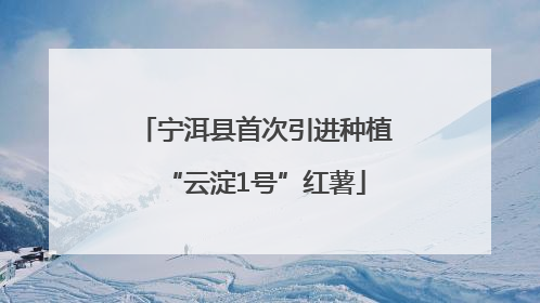宁洱县首次引进种植“云淀1号”红薯