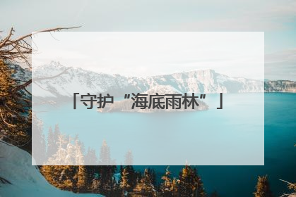 守护“海底雨林”