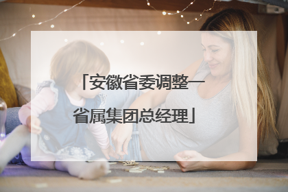 安徽省委调整一省属集团总经理
