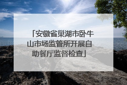 安徽省巢湖市卧牛山市场监管所开展自助餐厅监督检查