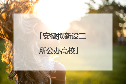 安徽拟新设三所公办高校