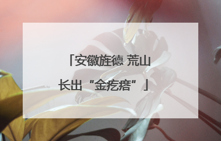 安徽旌德 荒山长出“金疙瘩”