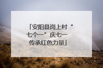安阳县岗上村“七个一”庆七一 传承红色力量