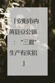 安阳市内黄县豆公镇：“三夏”生产有实招