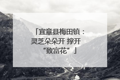 宜章县梅田镇：灵芝朵朵开 撑开“致富花”